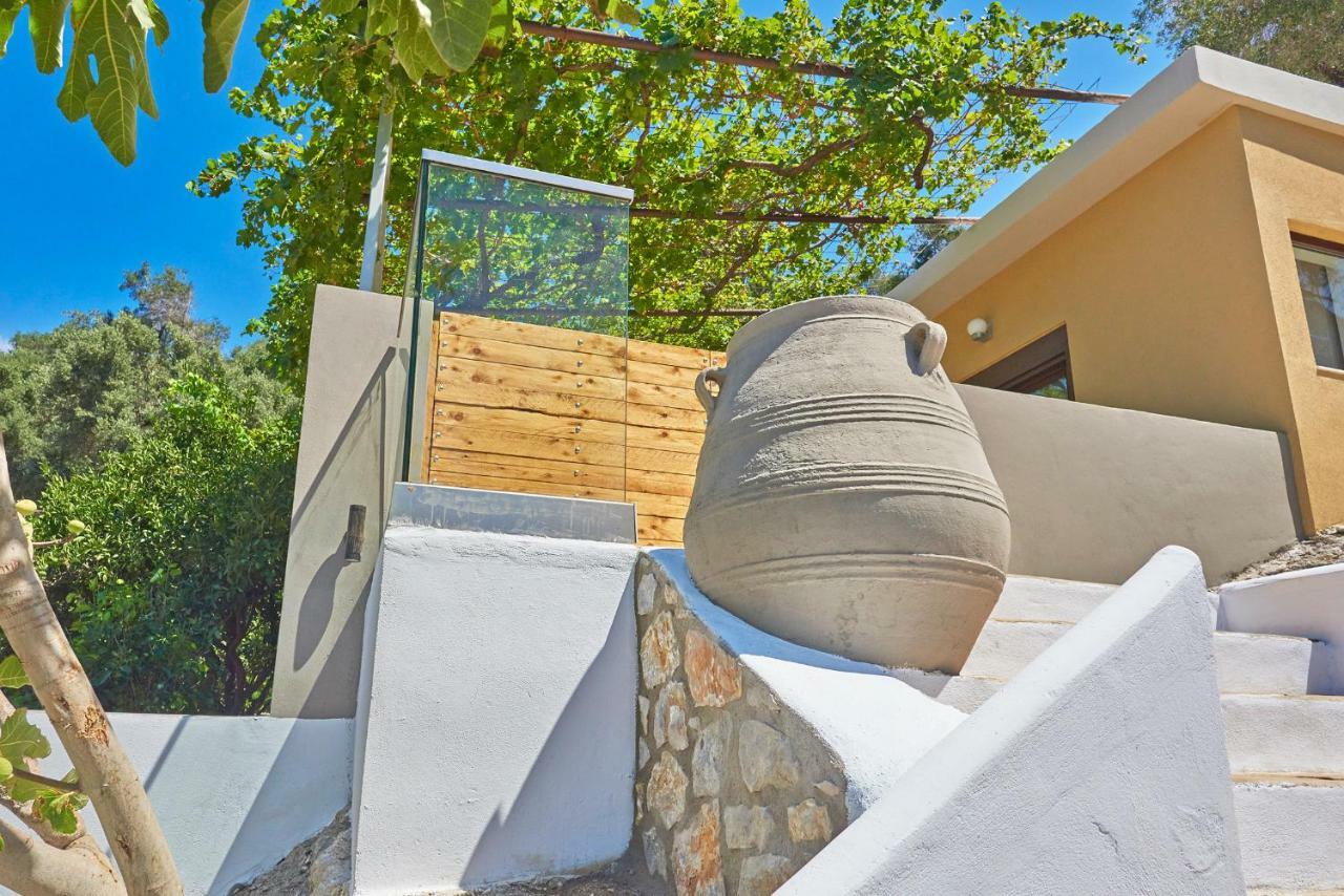 Pura Vida Villa Rodhákinon Bagian luar foto